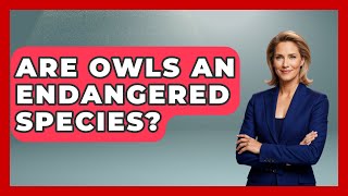 Are Owls An Endangered Species? - Biology For Everyone