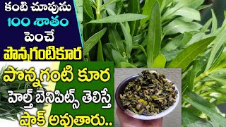 Ponnaganti Koora ||కంటి చూపుని 100%పెంచే పొన్నగంటి కూర || పౌష్టికరమైన ఆరోగ్యాన్నిచ్చే పొన్నగంటి ఆకు.