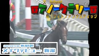 2023/07/30【パドック返し馬つき】新潟6R　メイクデビュー新潟　☆ロアノークテソーロ　Nathaniel　　＃レースは11分ころから