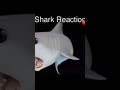 sharky.. youtubeshorts youtube trend roblox viral hellokittyfan shark cute