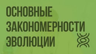 Основные закономерности эволюции. Видеоурок по биологии 11 класс