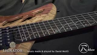 Rikkers Guitars Lignator rock demonstration