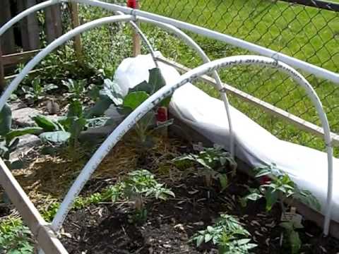 How to Make a Hoop House or Green House for Cheap. How to Make a Hoop House or Green House for Cheap.