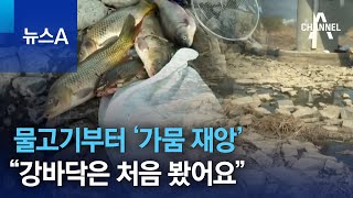 물고기부터 ‘가뭄 재앙’…“강바닥은 처음 봤어요” | 뉴스A