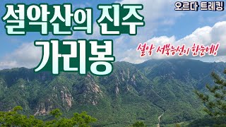 설악산 1%코스ㅣ숨겨진 설악산의 진주ㅣ가리능선의 가리봉ㅣ대청봉에서 귀때기청의 서북능선 일망무제ㅣ설악산 추천코스