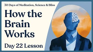 Day 22: How the Brain Works - The Free Energy Principle & Predictive Processing Explained | 30 Days
