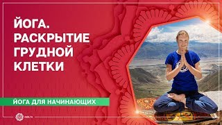 ЙОГА для начинающих. Упражнения для ГРУДНОГО отдела. КРАСИВАЯ ОСАНКА. Марина Лысяк.
