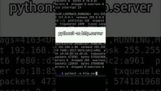 Create a Local Web Server in Seconds Using Python #hackprotech #operatingsystem #coding #python