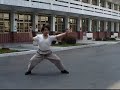 陳氏太極拳 tai chi 趙忠海 老架 14.掩手肱拳