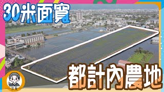 【房地產 | 線上看地】都市計畫內30米面寬農地《房仲搞什麼》ep.24 ∥ 李自岡