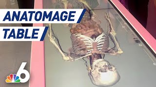 Anatomage 3D Virtual Table Transforms How Students Learn About Human Body | NBC 6