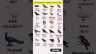 Birds Name in English and Kannada//birds vocabulary//birds//birds name in English and Kannada