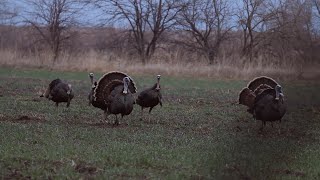 HuntCo Season 2 Ep 1- Turkey Fest