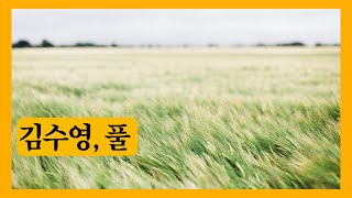 [모네의 시읽기] 김수영 풀