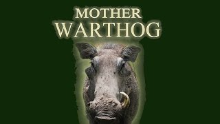 MOTHER WARTHOG - Promo