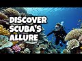 The Fascinating Allure of Scuba Diving Revealed by 5elementos.travel