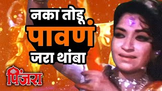 नका तोडू पावणं जरा थांबा | Pinjra | Sandhya | Super Hit Marathi Movie Song