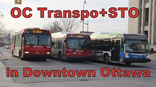 OC Transpo and STO Gatineau in Ottawa (D40i Inverno, D60LF, Orion VII, LFS, LFSA)