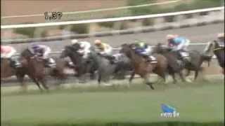 京都2歳ステークス 2012.11.24 エピファネイア 京都芝2000m 芝Cコース