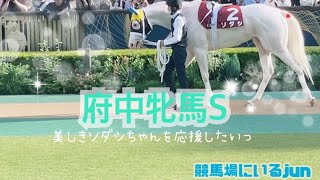 【ソダシ】府中牝馬Sの日。今回もお友達も参戦！