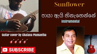 Paya ai Hinahenne Instrumental (Cover) by- Chalana Sunflower