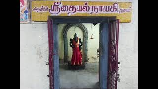 சிங்கம்புணரி ஸ்ரீ வாத்தியாரையா சித்தர்