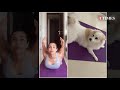 when malaika arora s pet dog casper taught her how to relax