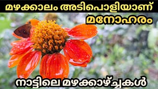 മനോഹരം മഴക്കാഴ്ച്ചകൾ | Beautiful Monsoon | Kerala |