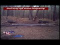 animals in telangana forests flock to saucer pits to quench thirst adilabad v6 news