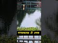 সেই গণভবন