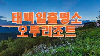 해발1100미터 태백 오투리조트 1_DAY