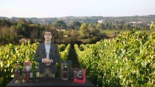 Tesseron Cognac Overview