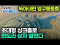 ‘42도까지 온도 치솟아’ 녹아내린 시베리아 초대형 싱크홀 안에 들어가 봤더니｜지구 온난화 수만 년 얼어붙어 있던 북극 녹였다｜기후 위기｜멸종위기종 인류｜다큐프라임｜#골라듄다큐