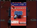 Ding Ning vs Feng Tianwei Long Rally #shorts