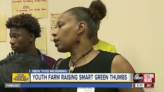 Youth Farm in St. Pete teaches kids gardening and cooking skills