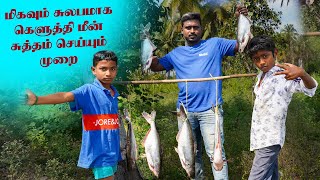 மிகவும் சுலபமாக கெளுத்தி மீன் சுத்தம் செய்வது எப்படி? Keluthi Meen fish cutting /Meen Ulagam