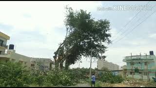 ಕಡಿದರೆ ನೀನು ಒಂದು ಮರ, ಪುನಃ ಬೆಳೆಸಲು ನೀನು ಮುಂದಾಗು ಸಾವಿರಾರು ಮರ. ಪರಿಸರ ಸಂರಕ್ಷಣೆ ನಮ್ಮೆಲ್ಲರ ಹೊಣೆ.