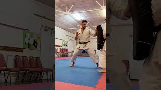 Karate Kata application #karate #shotokan #martialarts #kata #kumite #training