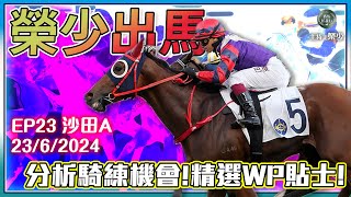 【賽馬貼士】#榮少出馬 #分析騎練機會!精選WP貼士!《2024年6月23日》23-24賽季 EP23 / #榮少 #沙田 #泥草混合 #黃昏馬 #騎練 #賽馬任我行