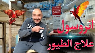 #طيور_الزينة .. طريقة تقديم علاج الانروسول للطيور