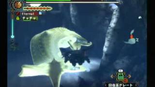 MH3 ナバルデウス　最速？12分一回討伐