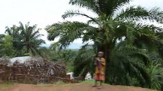 Visit Burundi  South, Les Hauteurs de RUMONGE, Palmeraie, by Road, Fin 2022, by HabariSalam