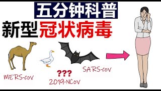 动画科普| 最新最可靠最全面 | 新型冠状病毒 | 世界卫生组织 | 中文翻译