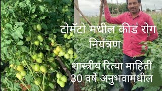 🍅 टोमॅटो पिकामधील रोग आणि कीड नियंत्रण.. माझ्या  30 वर्षे चे टोमॅटो शेती मधील शेतकरी प्रॅक्टीस..