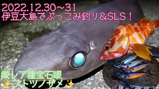 年末釣行！伊豆大島に美味な魚を釣りに行く！(2022.12.30〜31)