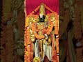 Tirupati balaji temple #hindutemple #tirupati #vrindavan #divali #laxmi #puja