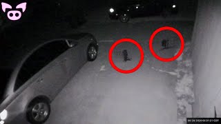 Mysterious Videos You Really Need to See