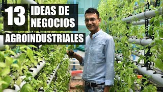 💵13 ideas de negocios de agricultura 💸