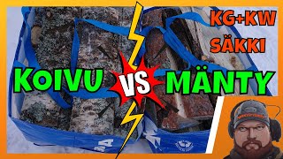 KOIVU vs. MÄNTY | paljon säkillisessä tehoa? | tehoissa eroa?