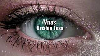 Vnas - Urishin Tesa (ArmMusicBeats Remix) 2022